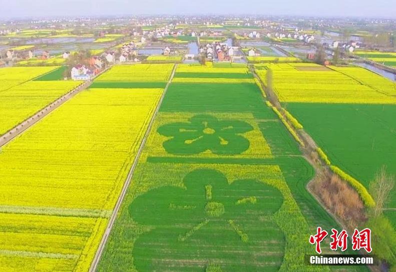 新京报：2019中国北京世界园艺博览会正式开园迎..