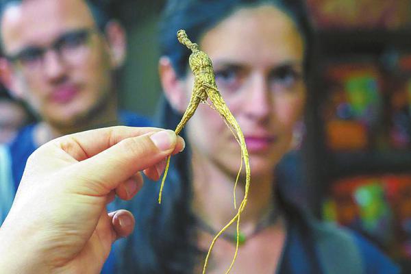 西工大团队研制3D打印活性仿生骨：可在生物体内自然生长