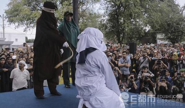 北京故宫举办菏泽牡丹展