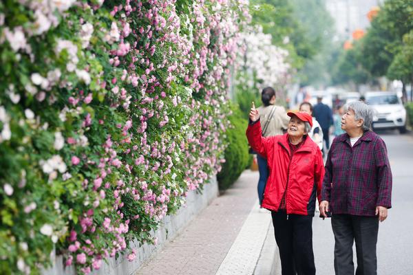 奥地利85后总理北京街头录视频 展示访华成果