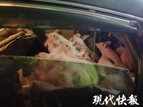哈尔滨北龙温泉酒店发生火灾 遇难人数已升至19人