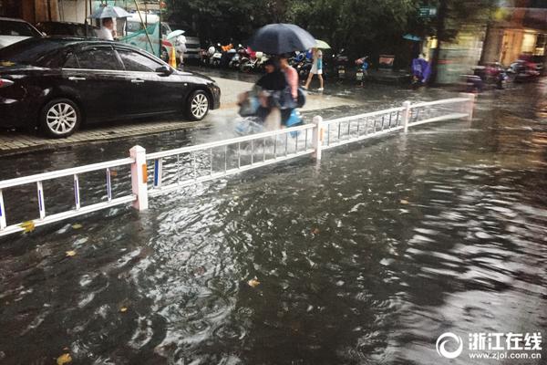应对暴雨洪涝 应急管理部向山东安徽调拨救灾物资
