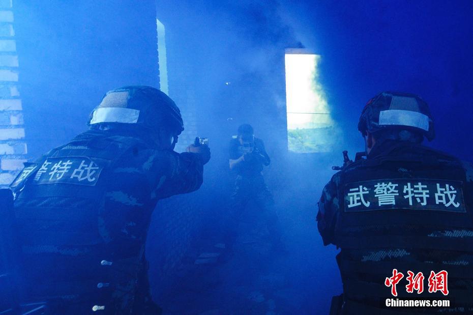 法国“黄背心”:反对警察用催泪弹等非致命性武器